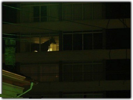 Вера Константинова | Запорожье