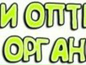 Дмитрий Майский | Пермь