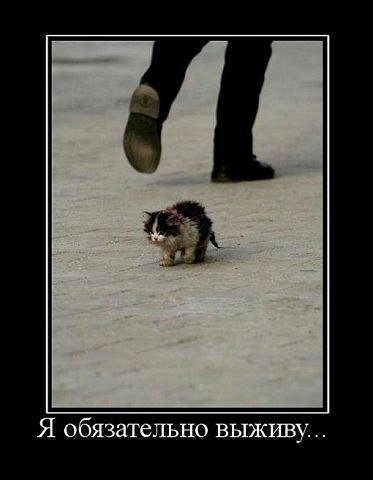 Вадим Сварной | Житомир