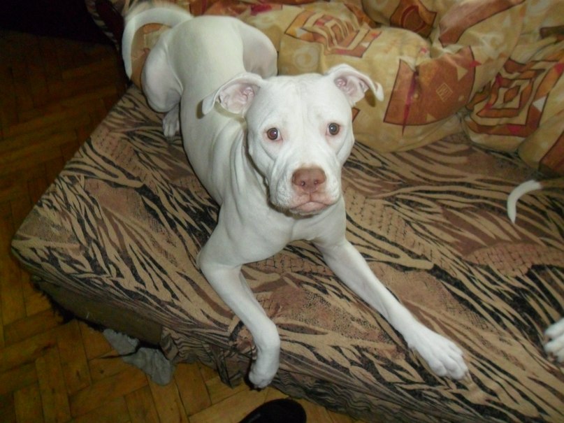 Жека Раджабов | Киев