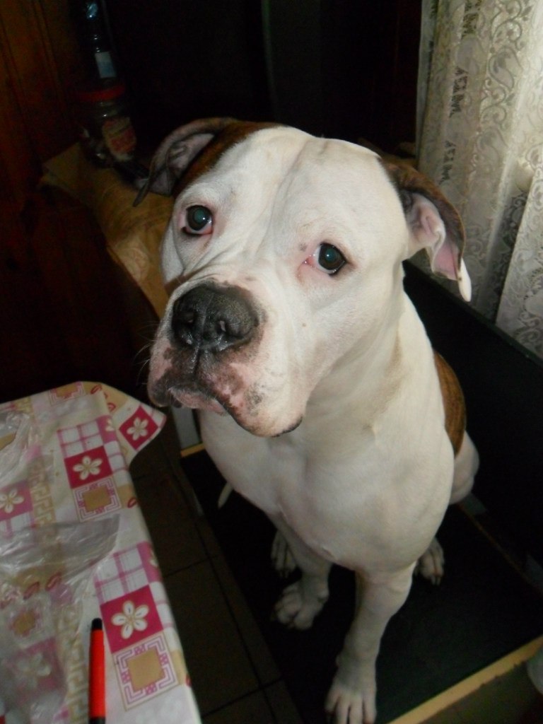 Жека Раджабов | Киев