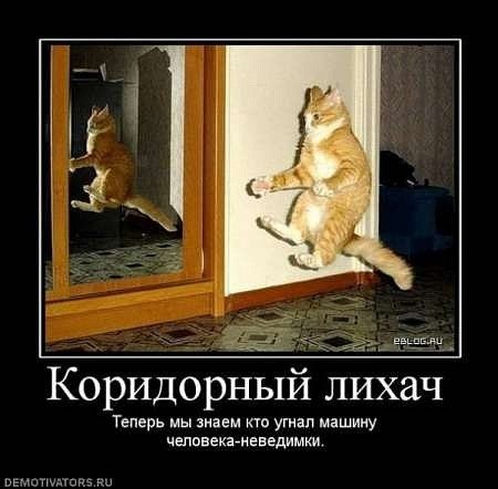 Димка Четин | Пермь