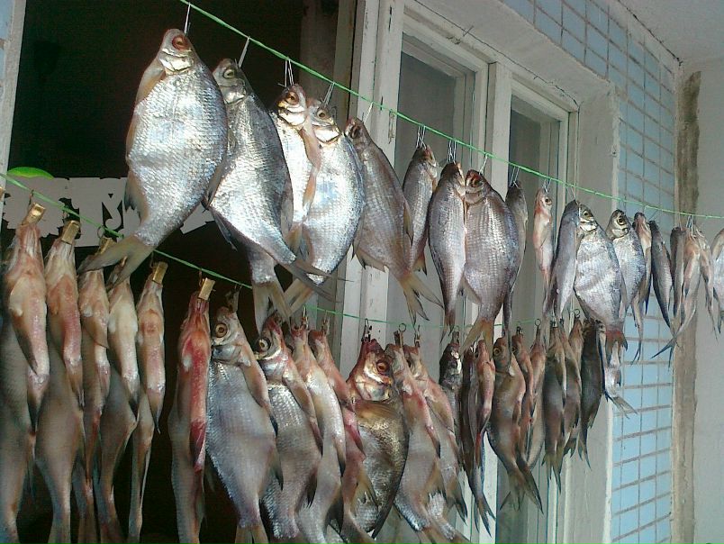 №38, Сергей Забалуев, 51 год, Москва №38, Сергей Забалуев, 51 год, Москва