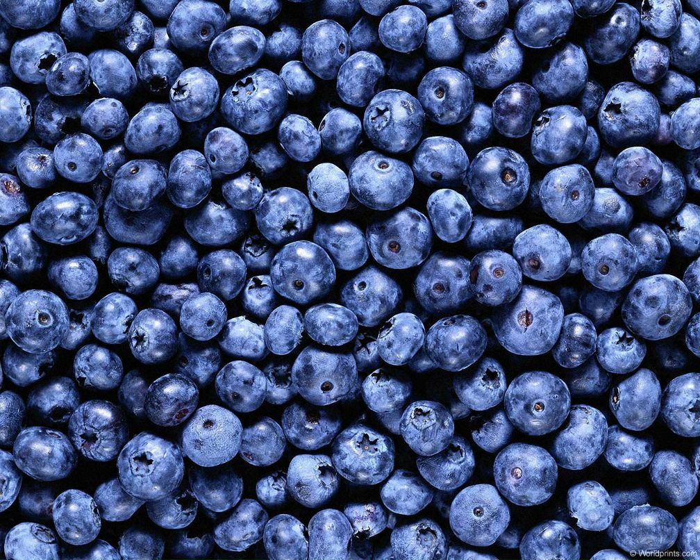 Катерина Гришина | Санкт-Петербург