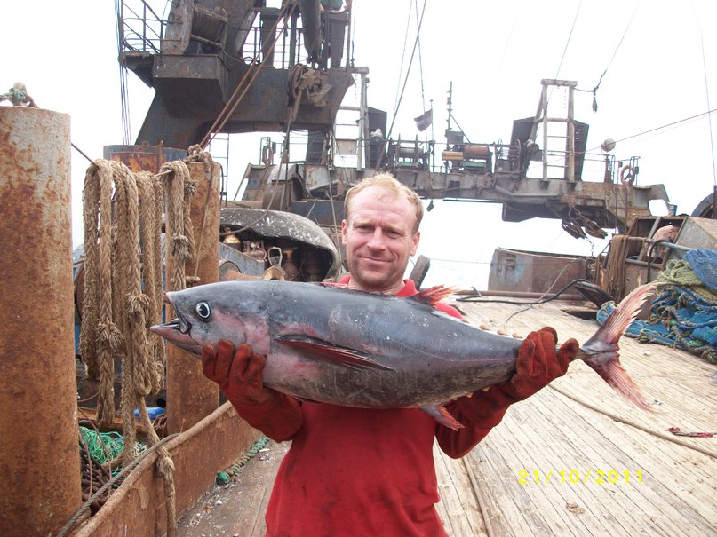 Евгений Маслов | Севастополь