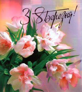 Наташа Ришко | Теофиполь