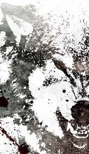 Вадим Быков | Нижний Новгород