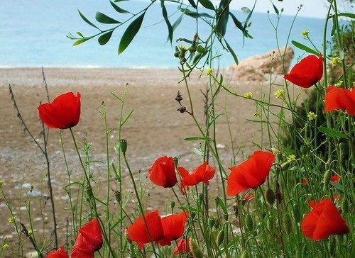 Мария Иванова | Санкт-Петербург