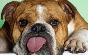 Евгения Ведерникова | Екатеринбург