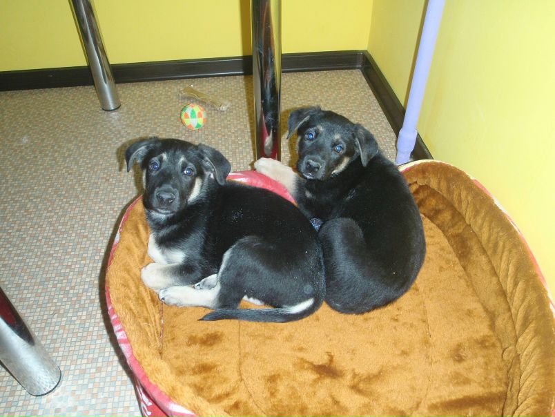 №25, Оксана Шахтарина, Тюмень №25, Оксана Шахтарина, Тюмень