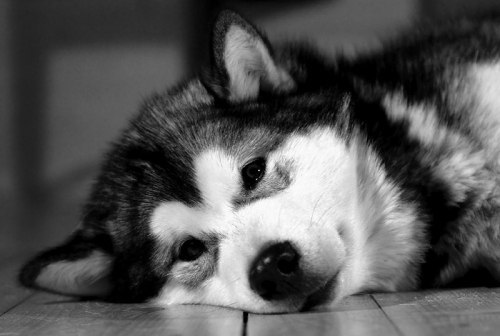 Наталя Бацик | Львов