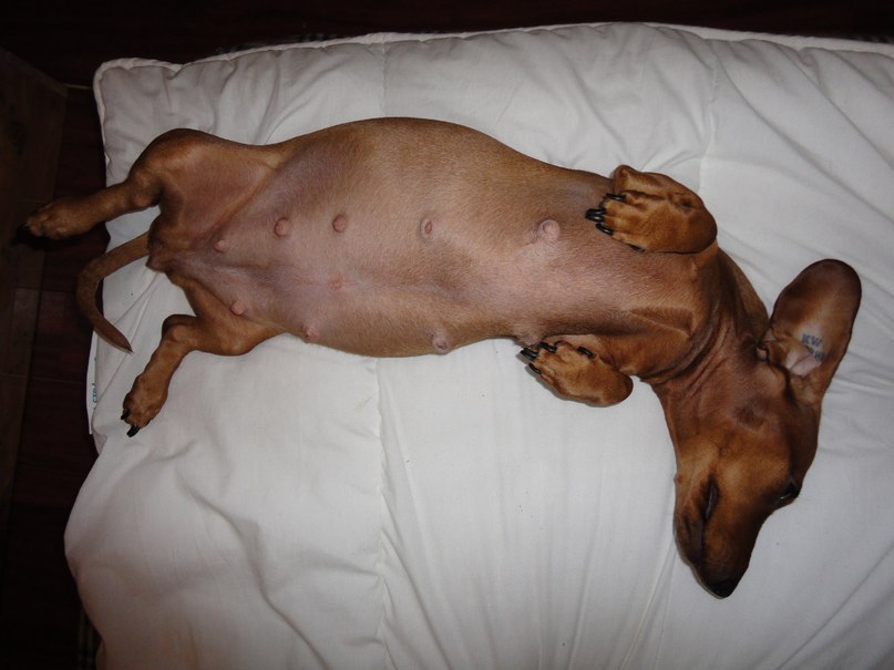 Паша Громов | Москва