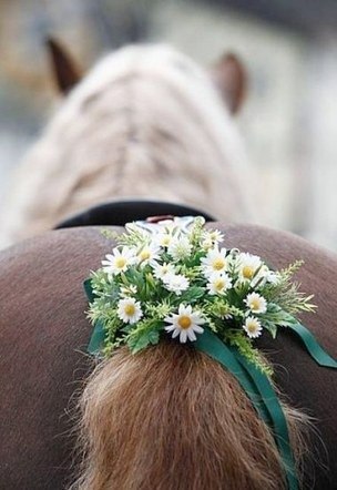 Наталия Прохода | Санкт-Петербург