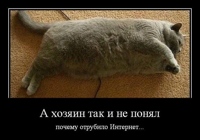 Ирина Цатова | Вороново