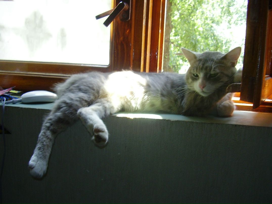 Alexandr Alexandrovich BORRO | Środa Wielkopolska