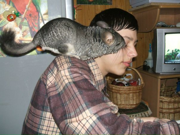 №80, Janis Jasans, Даугавпилс №80, Janis Jasans, Даугавпилс