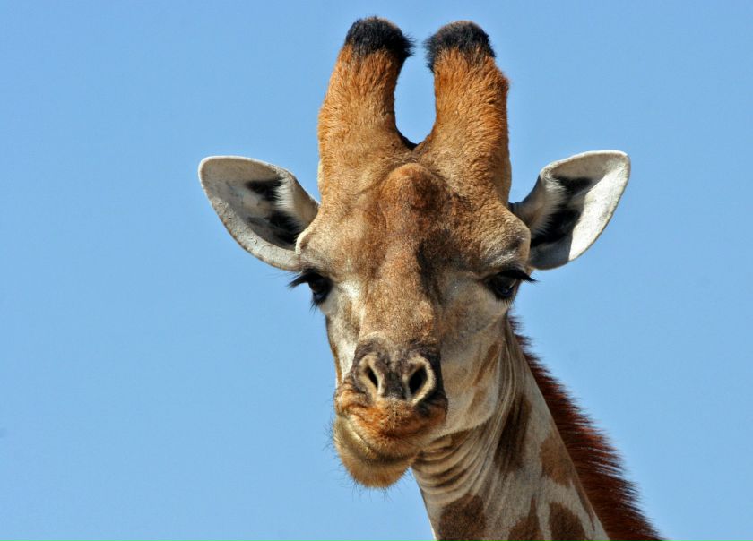 №44, Александр Иванов, Николаев №44, Александр Иванов, Николаев