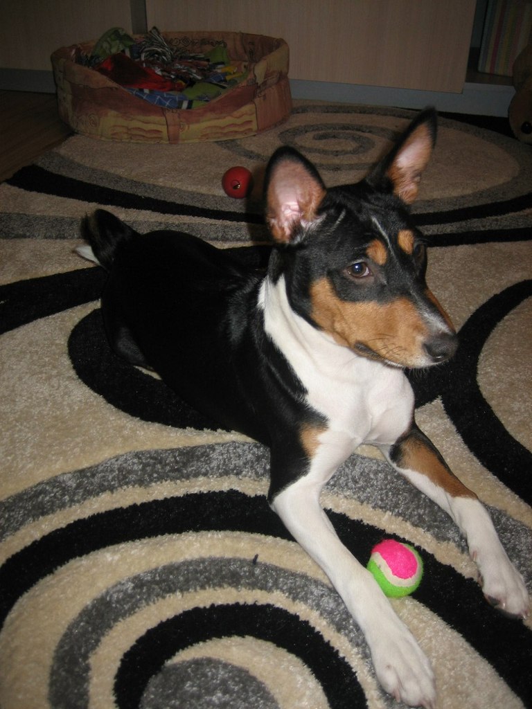 Ольга Яранцева | Санкт-Петербург