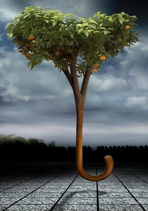 Гавриил Волошин | Санкт-Петербург