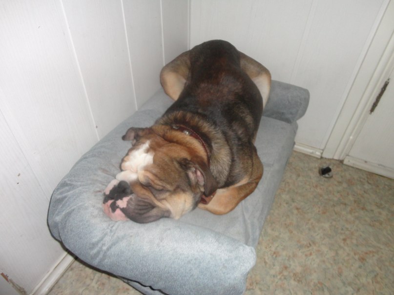 Anton Driftov | Челябинск