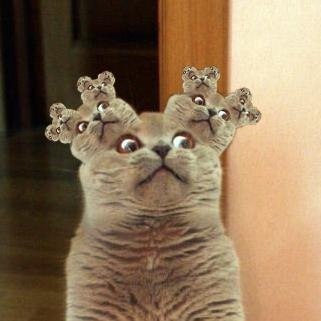 Алексей Петров | Киев