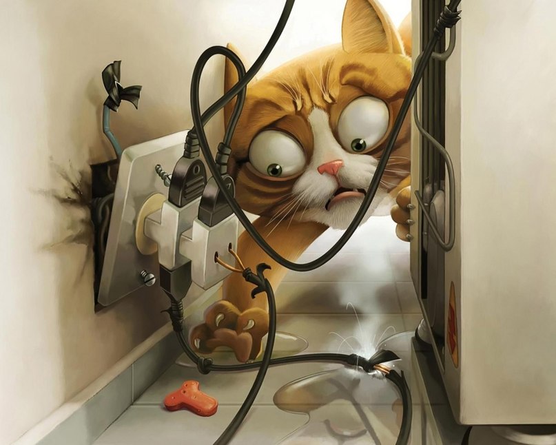 Дима Сарычев | Волгоград