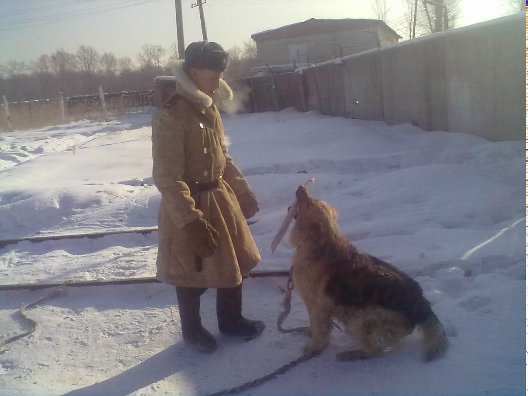 Карен Айрапетов | Москва