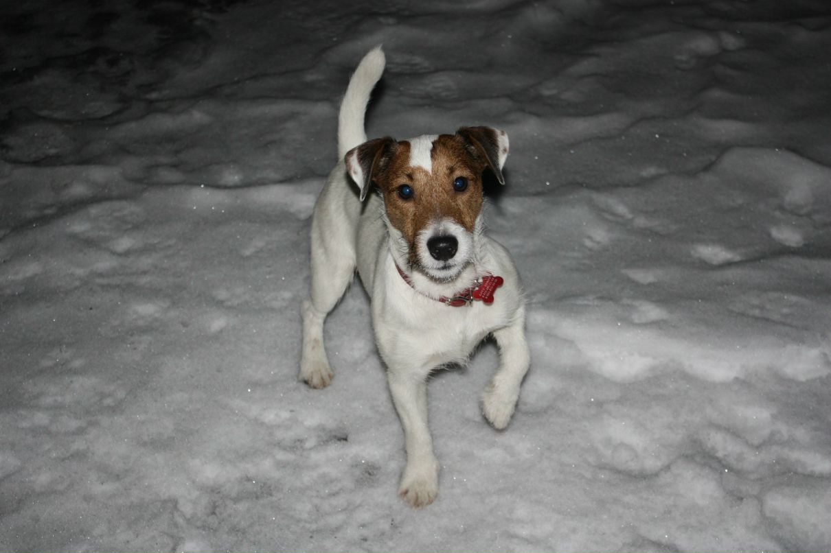 Петр Барган | Москва