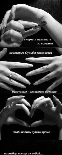 Полина Олехович | 