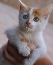 Фотография Рузайкин Руслан