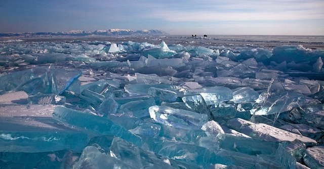 Ольга Косолапова | Новосибирск