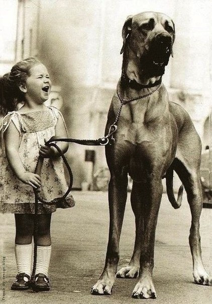 Елена Дорошенко | Киев