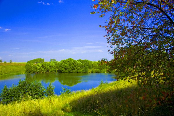 Natalia Nykytiuk | Roma