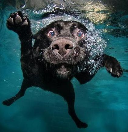 Роман Каменев | Новосибирск