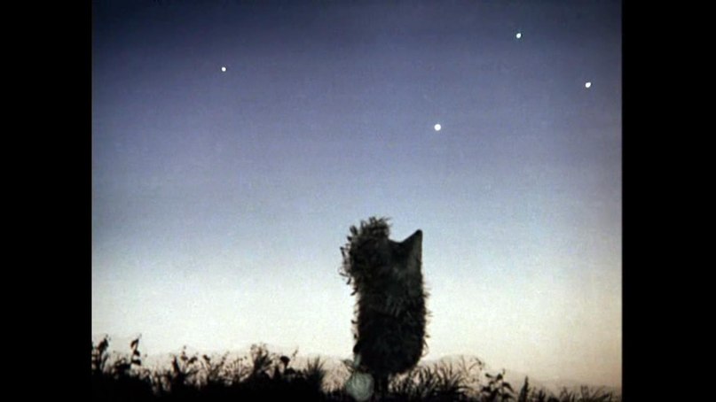 Настасья Лебедева | Омск