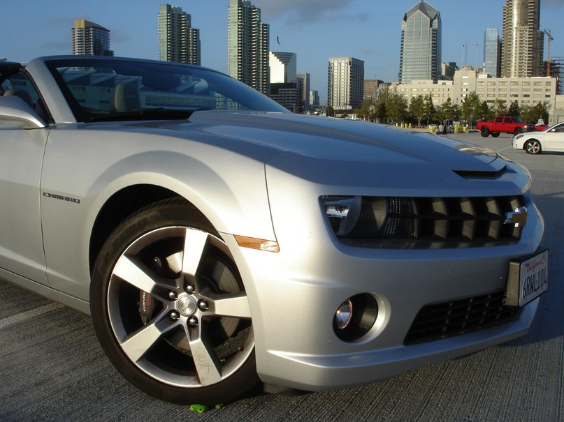 Лягуха Зырящая | Санкт-Петербург