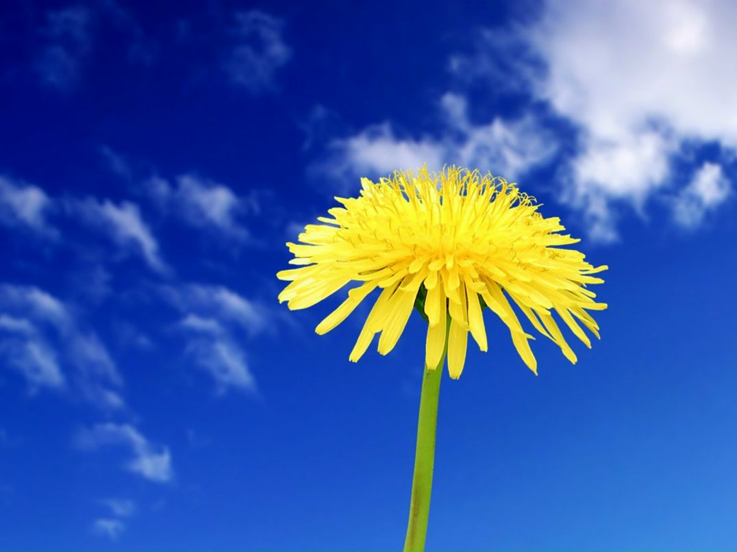 Юлия Ибеева | Уфа