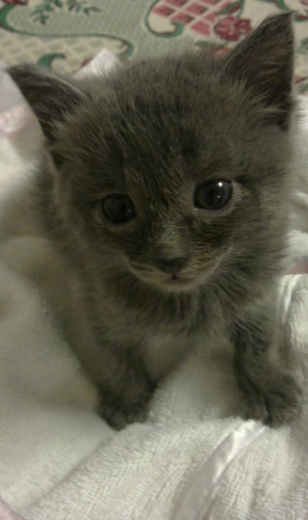 Анна Неменущих | Красноярск