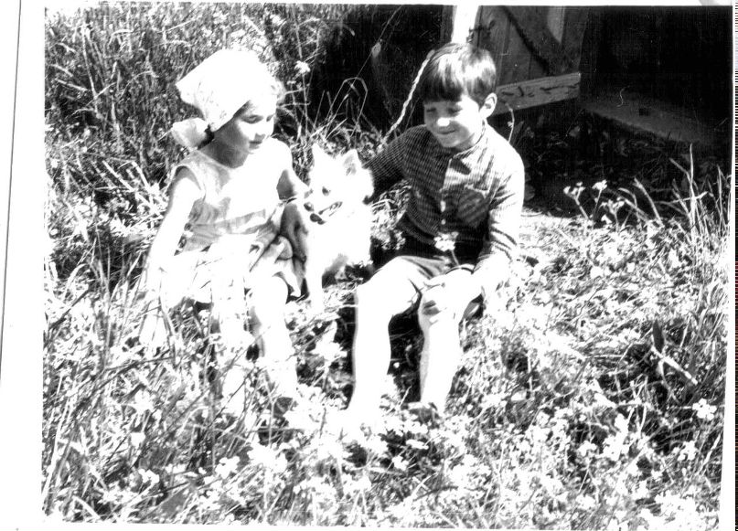 Сергей Храбров | Заря