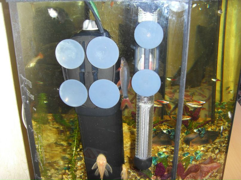 Кристина Бирюкова | Москва