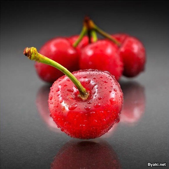 Анна Проскура | Nürnberg