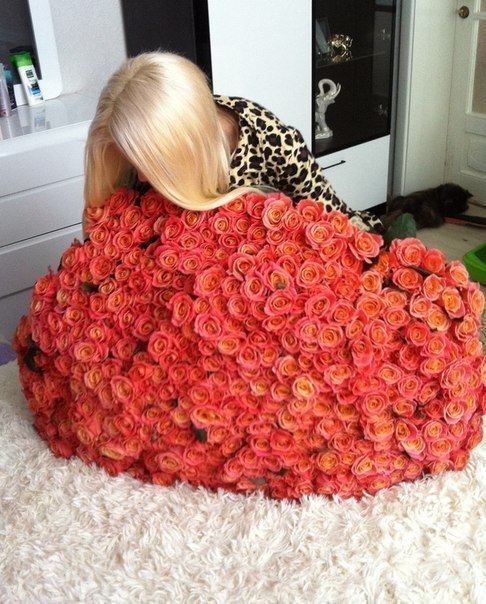 Маргарита Данова | Кропивницкий / Кировоград