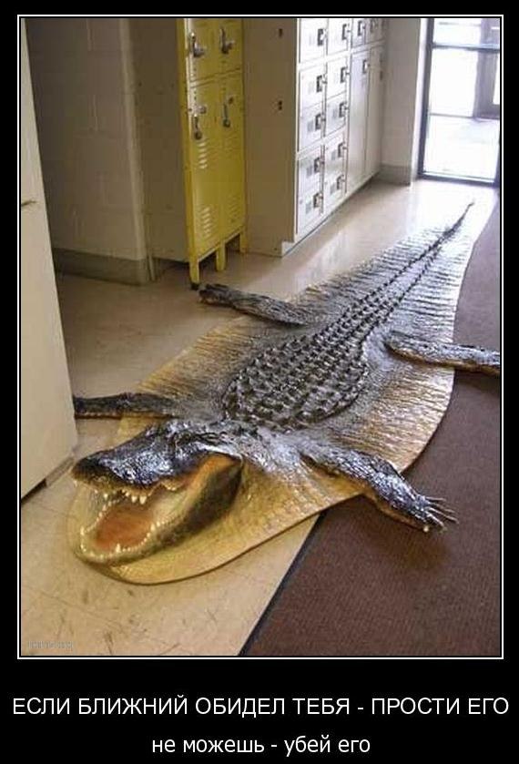 Игорь Вьюнник | Богодухов