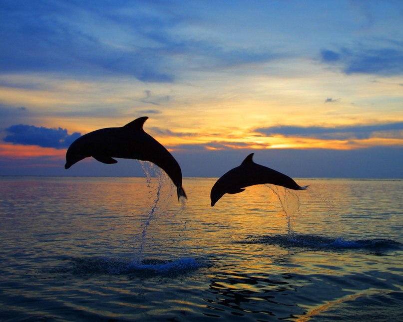 Анастасия Бирюкова Tess | Москва