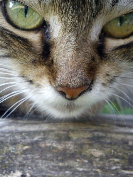 Андрей Сергеев | Краснодар