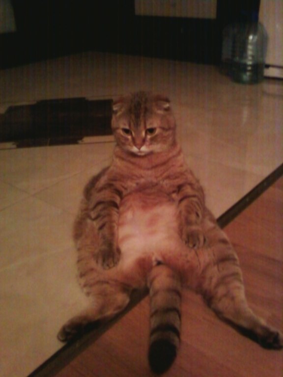 Артур Мукминов Альбертович | 