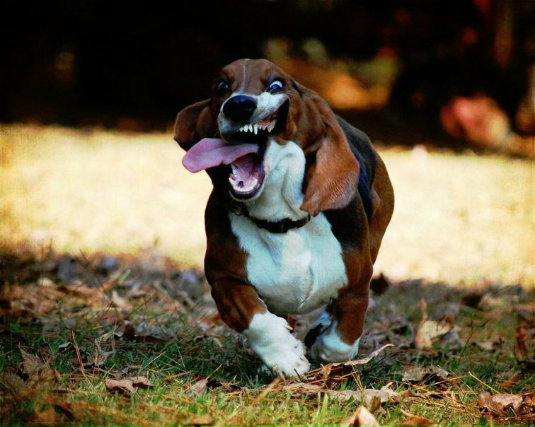 №70, Илья Калинин, 43 года, Москва, Россия №70, Илья Калинин, 43 года, Москва, Россия