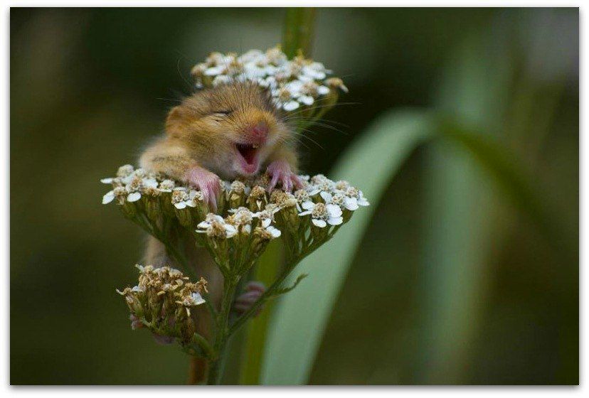 Анна Кудрявцева | Москва