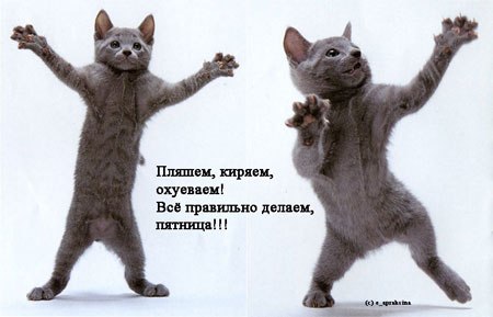 Ната Машинцева | Ростов-на-Дону