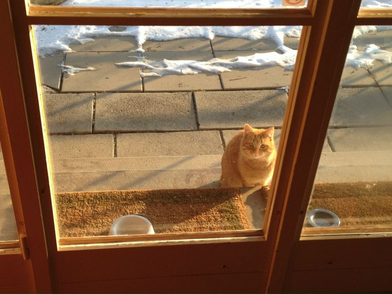 №116, Natali Zaikina, Батуми, Грузия №116, Natali Zaikina, Батуми, Грузия